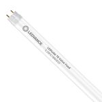 Ledvance LED Tube T8 Performance Food (EM/Mains) Standard Output 5.2W 500lm - 833 Warm White | 60cm - Replaces 18W Ledvance LED Tube T8 Performance Food (EM/Mains) Standard Output 5.2W 500lm - 833 Warm White | 60cm - Replaces 18W