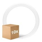Multipack 10x Ledvance LED Tube T9 Value Circular (EM/Mains) 18.3W 2200lm - 840 Cool White | Replaces 32W Multipack 10x Ledvance LED Tube T9 Value Circular (EM/Mains) 18.3W 2200lm - 840 Cool White | Replaces 32W