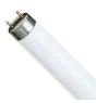 Philips MASTER TL - D Super 80 18W - 830 Warm White | 60cm - UNP 