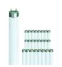 Multipack 25x Philips MASTER TL - D Super 80 36W - 840 Cool White | 120cm