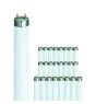 Multipack 25x Philips MASTER TL - D Super 80 36W - 865 Daylight | 120cm