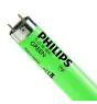 Philips MASTER TL - D 18W - Blacklight | 60cm