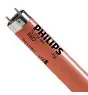 Philips MASTER TL - D 18W - Red | 60cm