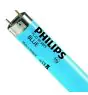 Philips MASTER TL - D 58W - Blue | 150cm