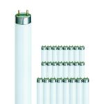 Multipack 25x Philips MASTER TL - D Super 80 36W - 840 Cool White | 120cm