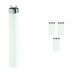 Multipack 10x Philips MASTER TL - D De Luxe 36W - 965 Daylight | 120cm