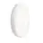 Philips LED Bulkhead CoreLine WL200V White 24W 1100lm - 830-840 CCT | 300mm - IP65