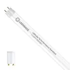 Ledvance LED Tube T8 Performance (EM/Mains) Standard Output 13.5W 2100lm - 865 Daylight | 120cm - Replaces 36W