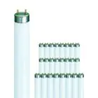Multipack 25x Philips MASTER TL - D Super 80 36W - 840 Cool White | 120cm